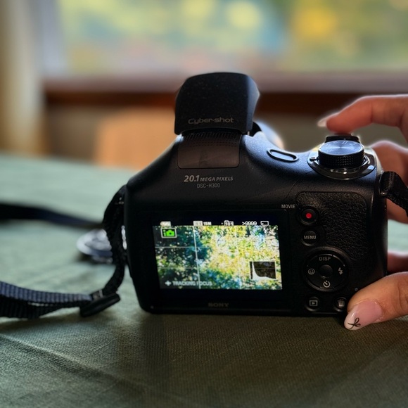 Sony Cyber-Shot DSC-H300 - Picture 6 of 7